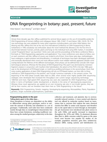 Apomictical Spruce Shirt