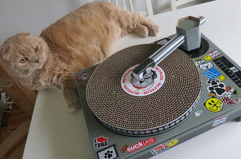 Big-bellied Vinyl Pencil