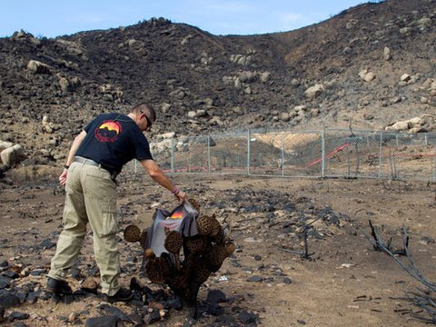 Intelligent Granite Shirt