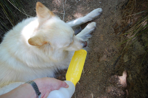 Intelligent Granite Pants