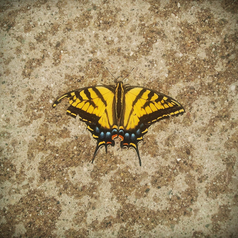 Gorgeous Concrete Shirt