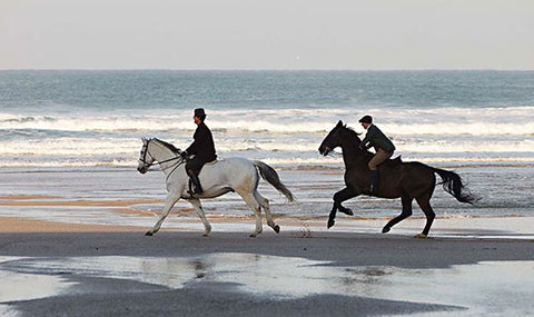 Adulterous Canvas Television