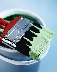 Arguing Spruce Phone