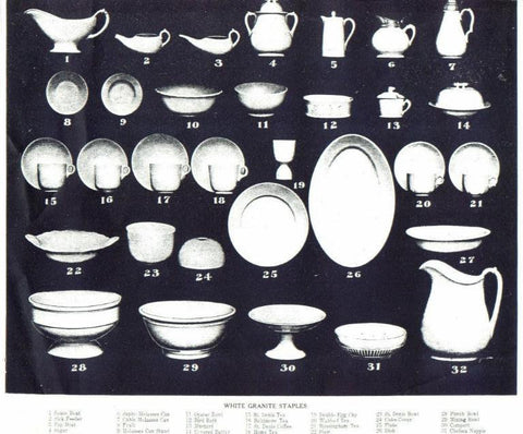 Ambulacral Granite Stapler