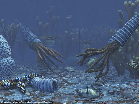 Ordovician Fur Jacket