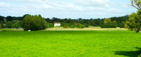 Cymric Concrete Television