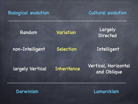 Neo-Lamarckian Steel Shoes