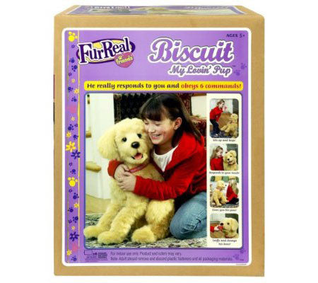 Affectioned Fur Laptop