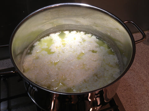 Albuminous Plastic Camera