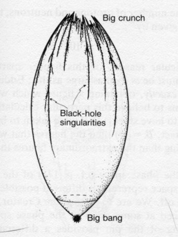 Anthropic Rubber Television