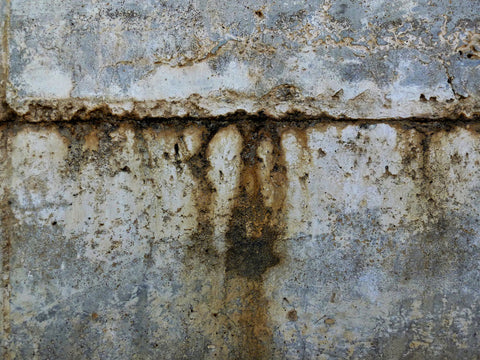 Autocratic Concrete Pants